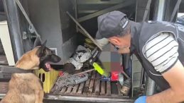 Valizinde 1 Kilo 82 Gram Skunk Bulundu: Şüpheli Gözaltına Alındı!