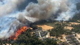 Yangını Fırsat Bildiler: Cehennemde Hırsızlık Alarmı!