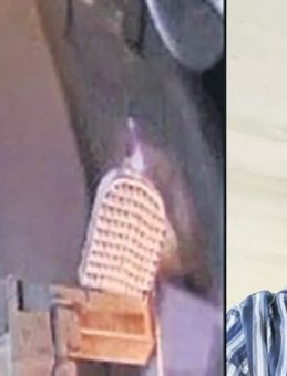 Yayayı ezip öldürdü, ‘çöp poşeti sandım’ dedi