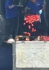 Yer: İstanbul! Zincir markette tepki &ccedil;eken g&ouml;r&uuml;nt&uuml;: Kasalarca domates &ccedil;&ouml;pe d&ouml;k&uuml;ld&uuml;