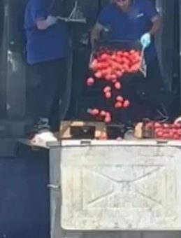 Yer: İstanbul! Zincir markette tepki çeken görüntü: Kasalarca domates çöpe döküldü