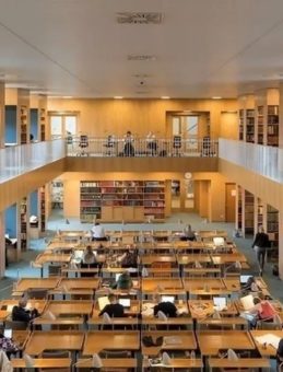 YKS Yerleştirme İstatistikleri Açıklandı: Kaç Kişi Yerleşti?