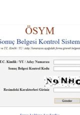Y&Ouml;KDİL SINAV SONU&Ccedil;LARI SORGULAMA EKRANI: Y&Ouml;KDİL sonu&ccedil;ları a&ccedil;ıklandı mı, nasıl &ouml;ğrenilir, saat ka&ccedil;ta a&ccedil;ıklanacak?