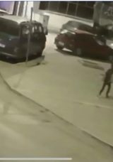12 Yaşındaki &Ccedil;ocuk, Yavru Kediye İşkence Yaptı ve Hayatını Kaybettirdi