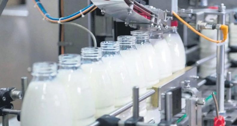 39 Süt Fırmasına Soruşturma Başlatıldı