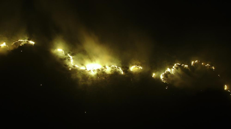 Orman Yangını Görüntüsü