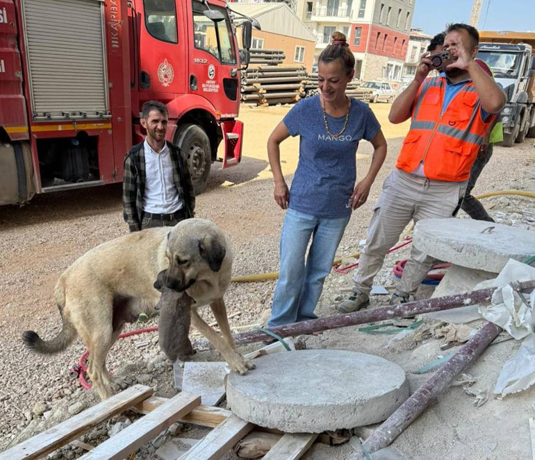 Yavru köpek kurtarıldı
