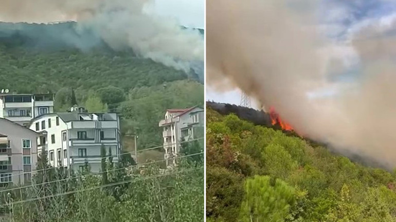 Orman Yangını