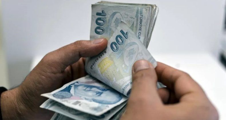 Ağustos Ayında Fiyat Artışı En Yüksek Olan Ürünler Açıklandı
