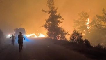 Alanya'da Korkutan Orman Yangını… M&uuml;dahale Devam Ediyor