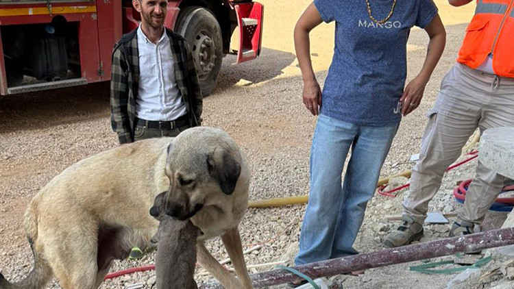 Antakya’da Yüreklere Dokunan Anlar: Annesi Yanında Bekledi