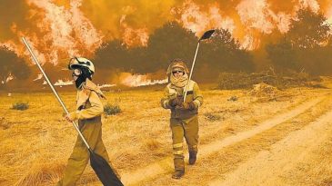 Aşırı Sıcakların Avrupa'ya Maliyeti 43 Milyar Euro