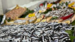 Av Sezonu ile Balık Tezgahları Canlandı