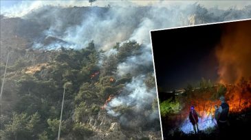 Aydın'da Alevlerle M&uuml;cadele: Yangında 10 Saat Geride Kaldı