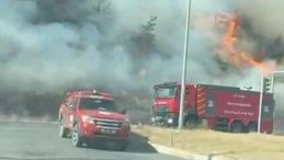 Aydın'da Makilik Alanda Yangın Çıktı