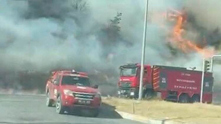 Aydın'da Makilik Alanda Yangın Çıktı