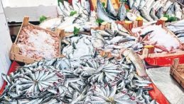 Balık Tezgahları Şenlendi