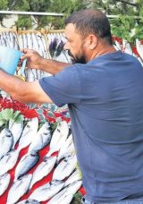 Bu Yıl Bolca Hamsi Yiyeceğiz
