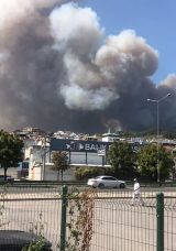 Bursa'da Orman Yangını Kontrol Altına Alındı