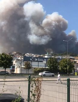 Bursa'da Orman Yangını Kontrol Altına Alındı