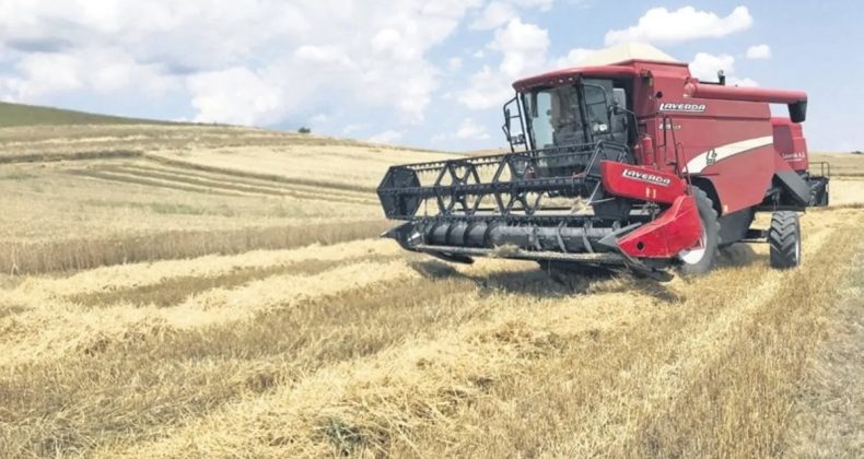 Çoban Desteği 81 Bine Yükseldi