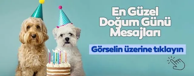 Dedeye Doğum Günü Mesajı Resmi
