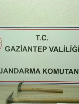 Defineciler Suçüstü Yakalandı
