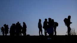 Edirne'de 12 Düzensiz Göçmen Ele Geçirildi