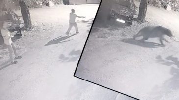 Erzincan'da İlgin&ccedil; Bir Kovalamaca: K&ouml;yl&uuml;ler Gece Yarısı Peşine D d&uuml;şt&uuml;