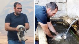 Erzurum'da Alevlerin İçinden Mahsur Kalan Kediyi Kurtaran Kahraman!
