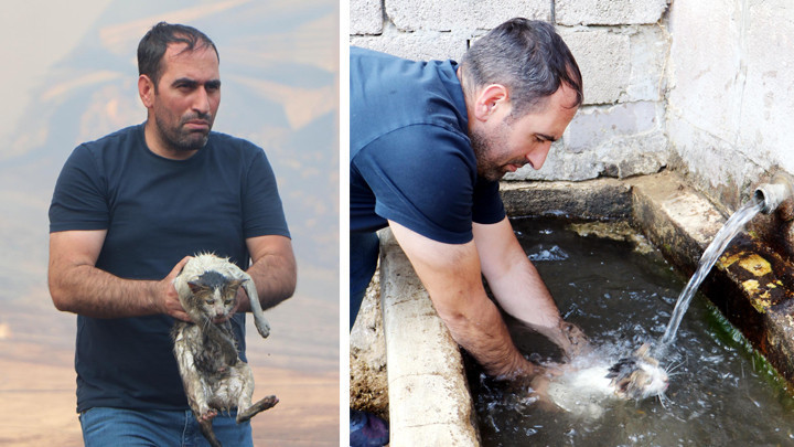 Erzurum'da Alevlerin İçinden Mahsur Kalan Kediyi Kurtaran Kahraman!