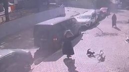 İstanbul – Sultangazi'de Yürüyüşteki Kadın ile Köpeğine Kedinin Saldırısı Görüntülendi