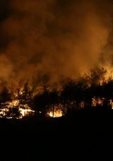 Karab&uuml;k'te Orman Yangını: 437 Kişi Tahliye Edildi