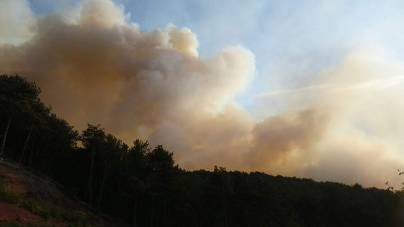 Karabük'teki Orman Yangınına Müdahale Devam Ediyor