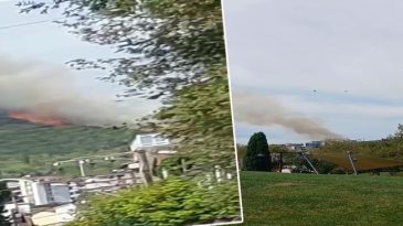 Kocaeli'de Orman Yangını! Alevlerle M&uuml;cadele Başladı