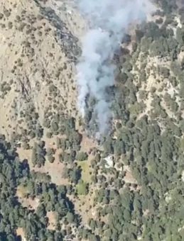Köyceğiz'de Orman Yangını Patlak Verdi