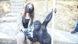 ‘Zeytin’ Yuvasına Kavuşuyor