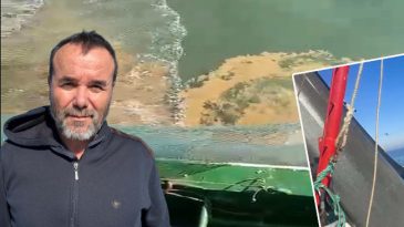 Marmara Denizi'nde Artan Tehlike! 'Tarihte İlk Defa G&ouml;r&uuml;ld&uuml;' Uyarısı