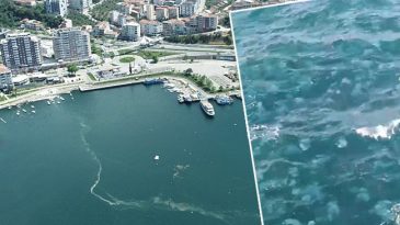 Marmara Denizi&rsquo;nin Y&uuml;zeyini Kaplayan Tehlike: Vatandaşın Cebini Yakacak | 'Sıkıntılı G&uuml;nler Bizi Bekliyor'