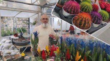 Memleketi Rize'ye d&ouml;nd&uuml; hayatı bir kakt&uuml;sle değişti! 'Yağmur b&ouml;lgesi olmaz' dediler, şimdi haritadan bulan geliyor