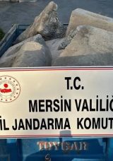 Mersin'de Tarihi Eser Ka&ccedil;ak&ccedil;ılarına Şafak Baskını: Bizans D&ouml;nemine Ait Eserler Ele Ge&ccedil;irildi
