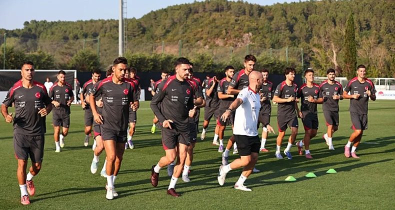 A Milli Futbol Takımı, Dünya Kupası yolunda ilk rakibi Gürcistan!