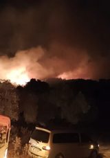 Muğla'da Orman Yangını!