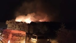 Muğla'da Orman Yangını!