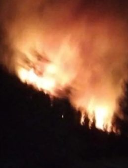 Muğla'da Ormanlık Alanda Yangın Çıktı! Ekiplerin Mücadelesi Devam Ediyor