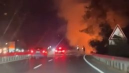 Muğla’da Orman Yangını