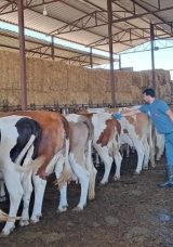 Nazilli'de 14 Mahalle Karantinaya Alındı