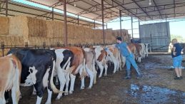 Nazilli'de 14 Mahalle Karantinaya Alındı