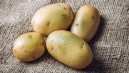 Patates Neden Yeşerir? Yeşillenmiş Patates Tüketilir Mi, Zehirler Mi?