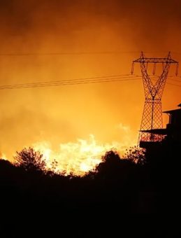 SON DAKİKA! Alanya ve Milas'ta Orman Yangını! Alevler Evleri Tehdit Ediyor